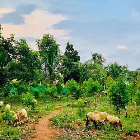 فيلا Eco Farm بنغالور المظهر الخارجي الصورة