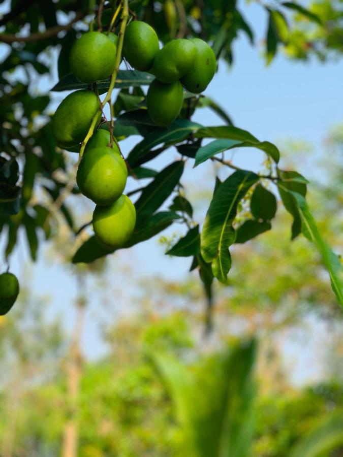 فيلا Eco Farm بنغالور المظهر الخارجي الصورة
