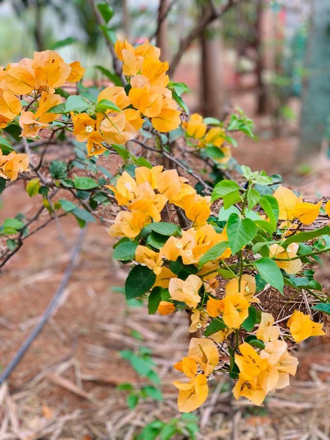 فيلا Eco Farm بنغالور المظهر الخارجي الصورة