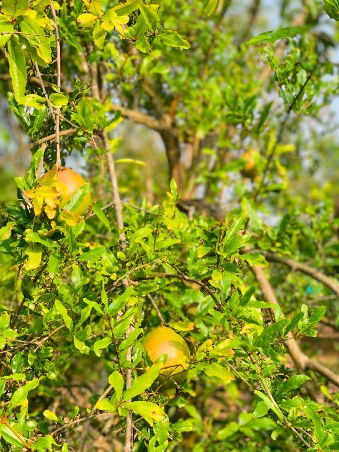 فيلا Eco Farm بنغالور المظهر الخارجي الصورة
