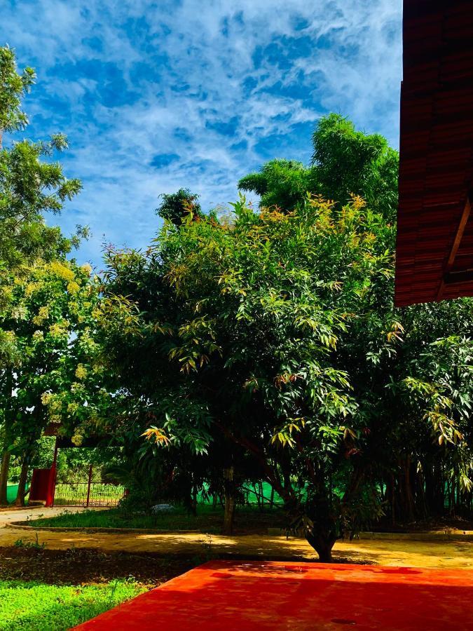 فيلا Eco Farm بنغالور المظهر الخارجي الصورة