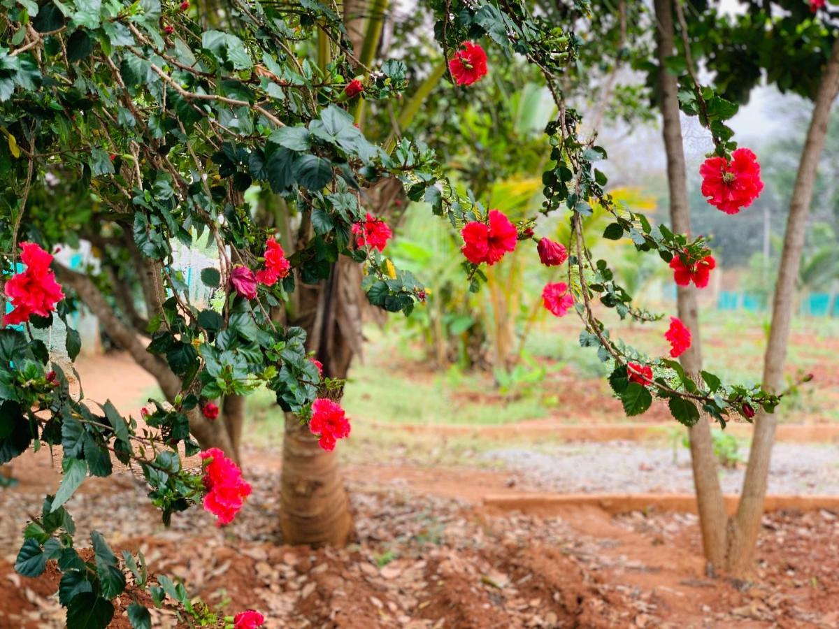 فيلا Eco Farm بنغالور المظهر الخارجي الصورة