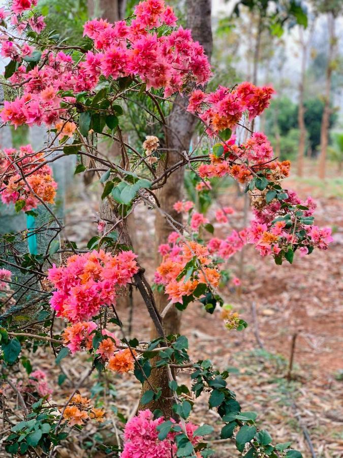 فيلا Eco Farm بنغالور المظهر الخارجي الصورة
