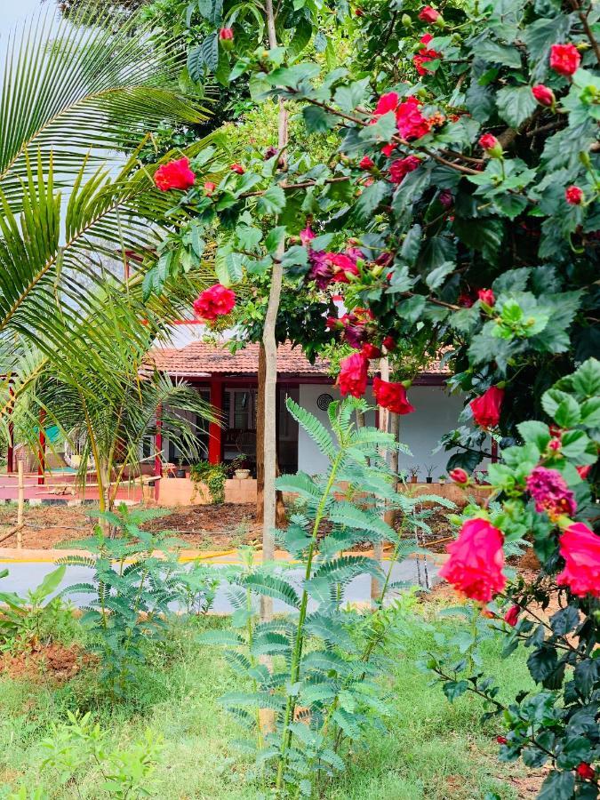 فيلا Eco Farm بنغالور المظهر الخارجي الصورة